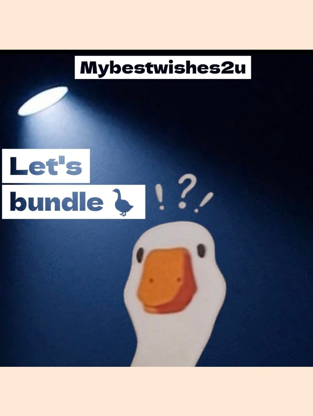Let's Bundle 🪿🧡